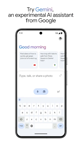 Gemini APP