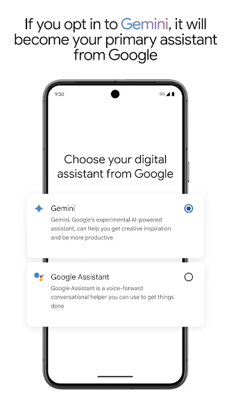 Gemini APP